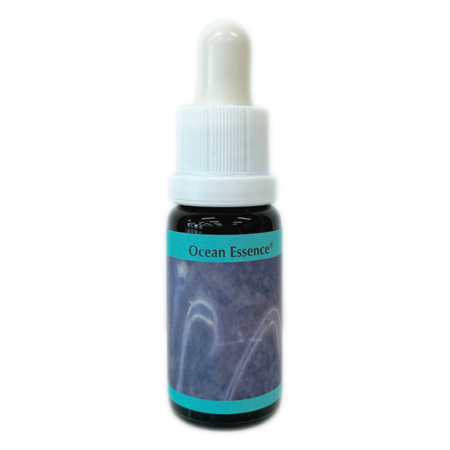 オーシャンエッセンス13