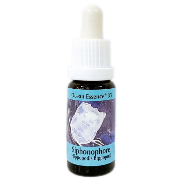 オーシャンエッセンスNo.33