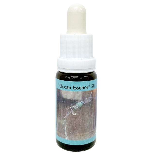 アンセストラルヒーリング（先祖の癒し）アンジェリックエッセンス