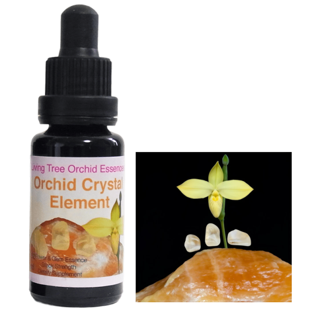 オーキッドクリスタルエレメント