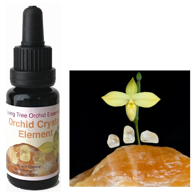 オーキッドクリスタルエレメント