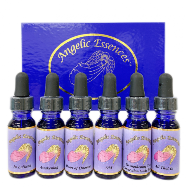 ワンネスキット