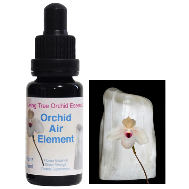 オーキッドエアーエレメント