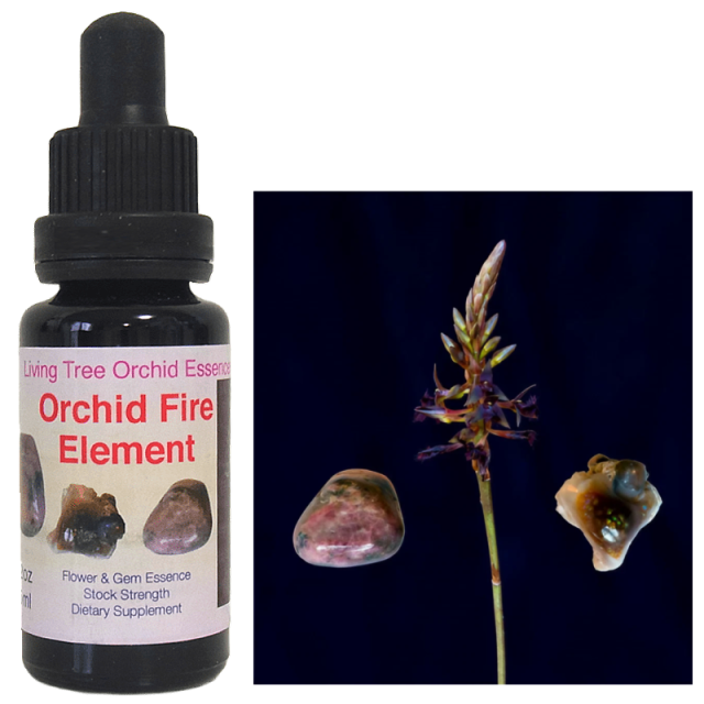 ワンサイデッドウィンターグリーン アラスカンエッセンス