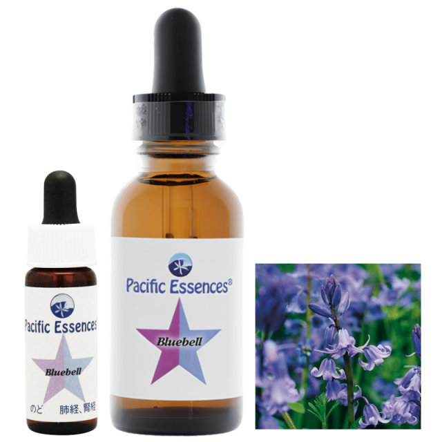 フラワーエッセンス　パシフィックエッセンス　経絡キットSea フラワーエッセンス パシフィックエッセンス 経絡キットSea