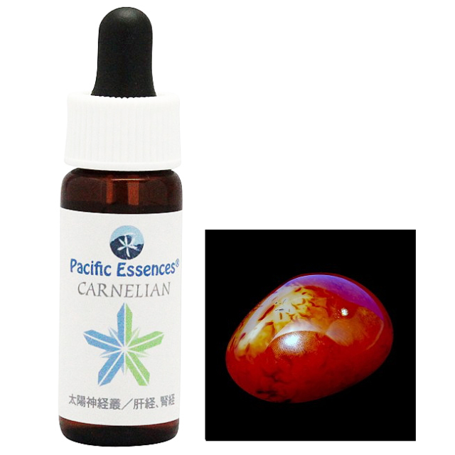 ストリングス ヒマラヤンエンハンサーズ チャクラキット