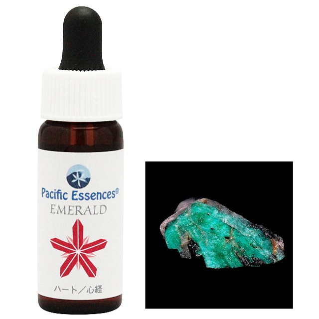 【予約品】#167 リペアリングザDNA　アンジェリック フラワーエッセンス DNAクリアリング アンジェリックエッセンス フラワーエッセンス