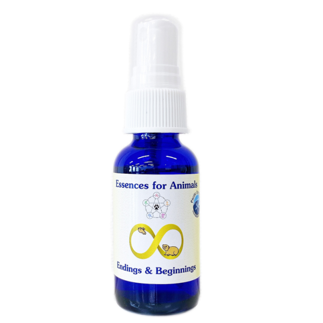 エンディングアンドビギニングスプレー