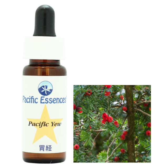 パシフィックユー