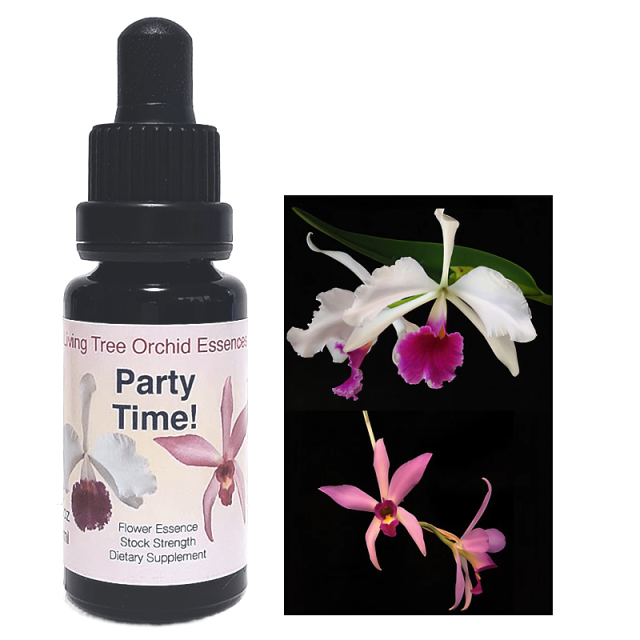 パーティータイム