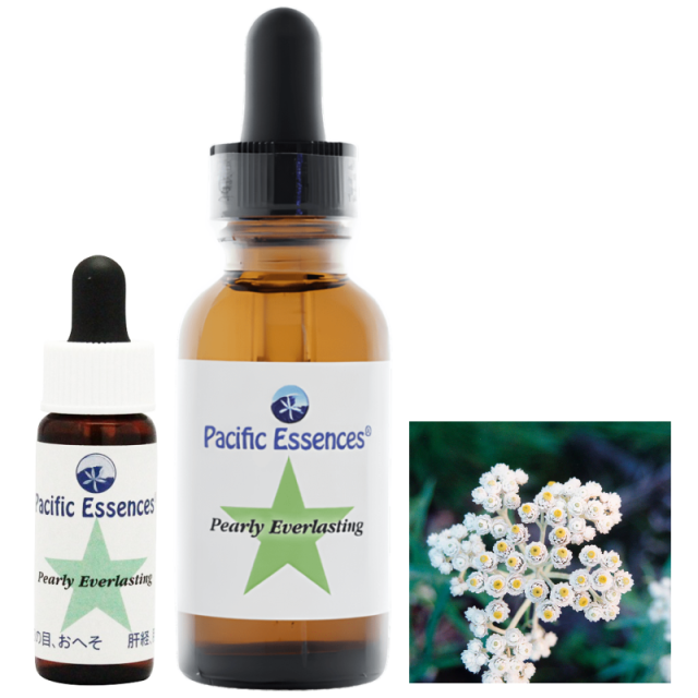 パーリーエバーラスティング