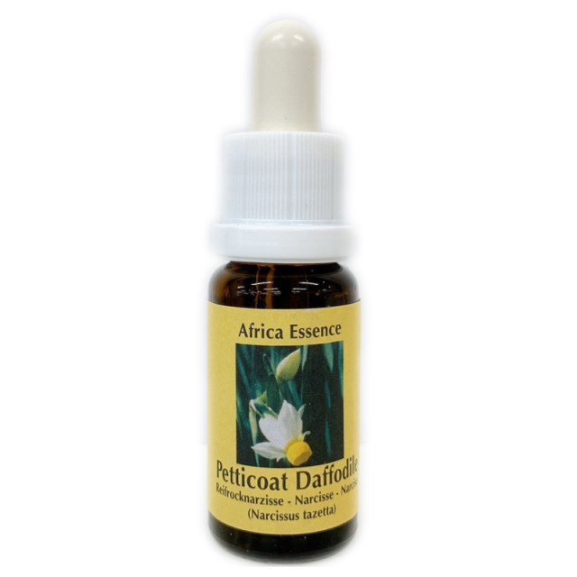 ペティコートダッフォディル