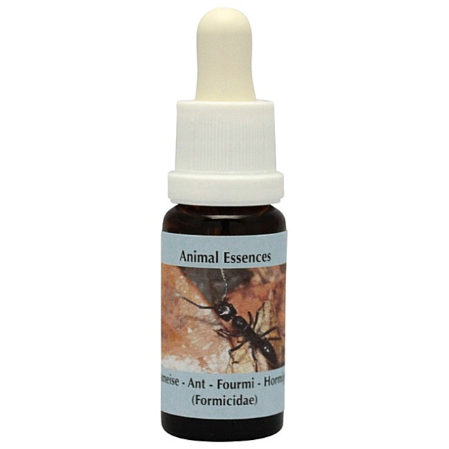 ストップアンドドロップス ラブズアルケミーエッセンス