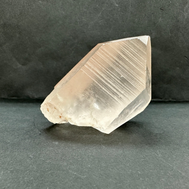 ピンクレムリアン2