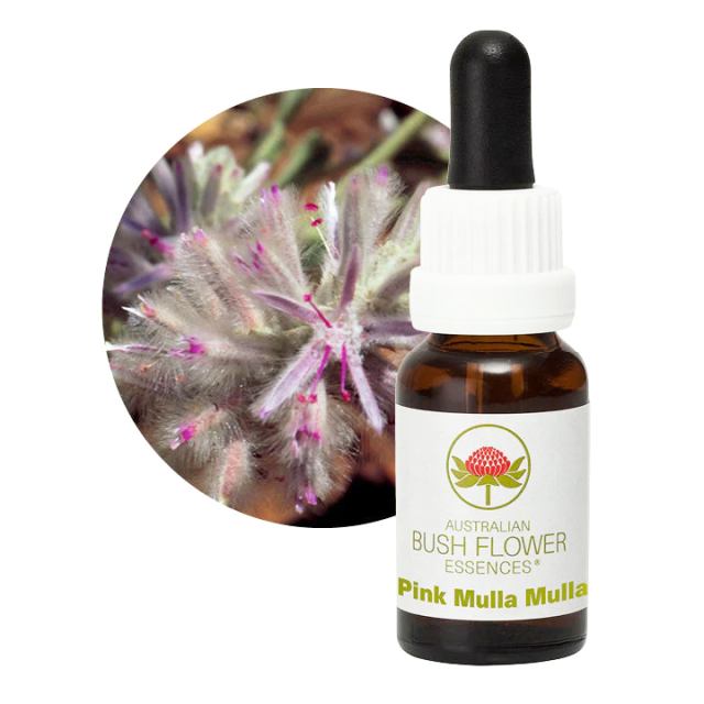 ピンクムラムラ