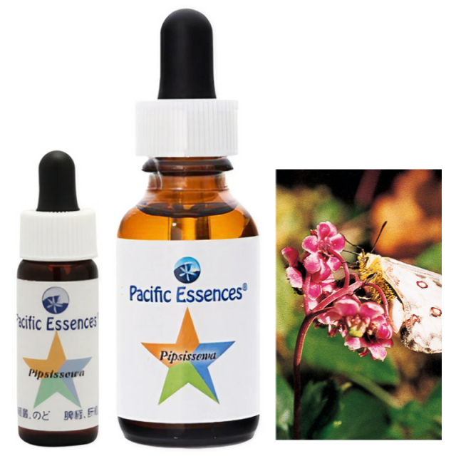 フラワーエッセンス　パシフィックエッセンス　経絡キットTrees フラワーエッセンス パシフィックエッセンス 経絡キットTrees