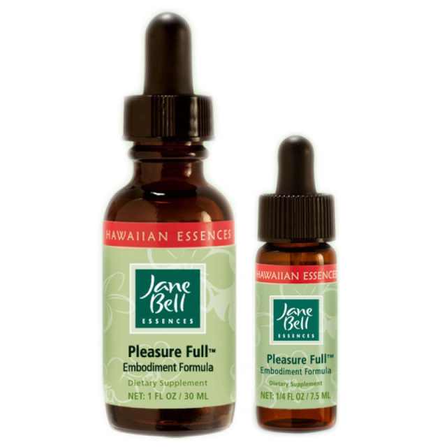 プレジャーフル