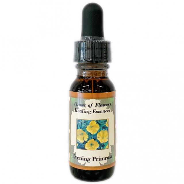 【専用】シューティングスター パワーオブフラワーヒーリング　フラワーエッセンス シューティングスター パワーオブフラワーヒーリングエッセンス