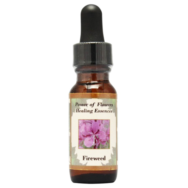 ファイヤーウィード