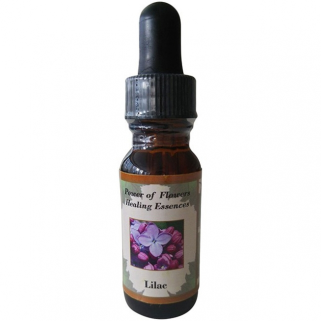 ポンデローサパイン パワーオブフラワーヒーリングのシングル