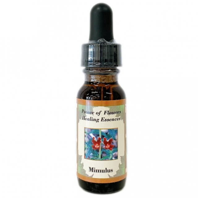 望む現実を創り出す アバンダンスエッセンス パシフィック 世界の