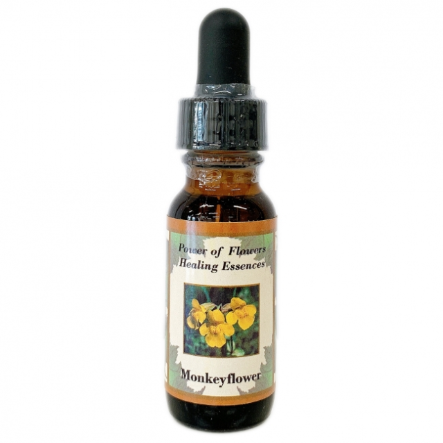 【予約】ポンデローサパイン 　パワーオブフラワーヒーリング　フラワーエッセンス pof-phlox1-650.png