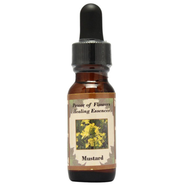 パワーオブフラワーヒーリングエッセンス シングルエッセンス