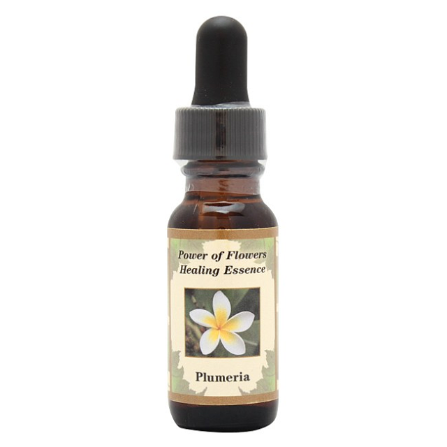 【予約】ポンデローサパイン 　パワーオブフラワーヒーリング　フラワーエッセンス pof-phlox1-650.png