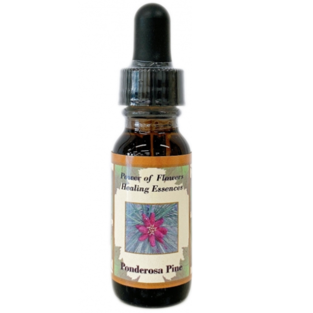 シルバーソード パワーオブフラワーヒーリング ブレンドエッセンス