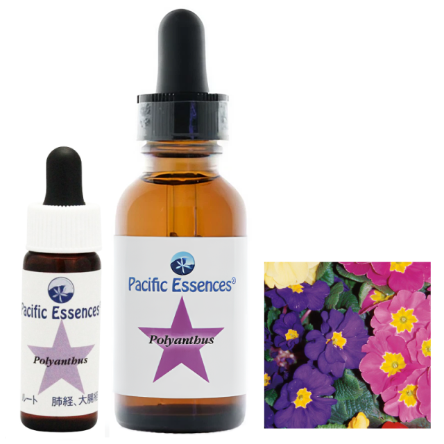 【専用】ストップアンドドロップス ラブズアルケミー　フラワーエッセンス 専用】ストップアンドドロップス ラブズアルケミー