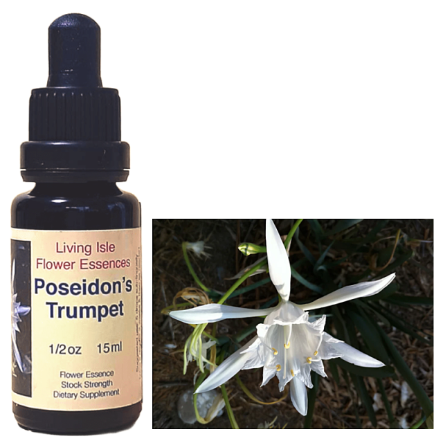 ポセイドントランペット