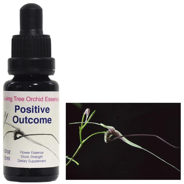 ポジティブアウトカム