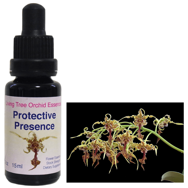 プロテクティブプレゼンス リビングトゥリーオーキッド