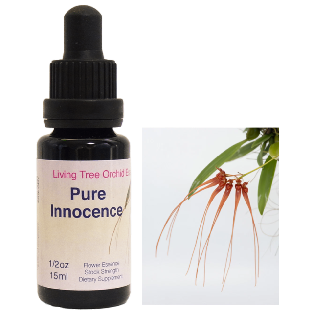 ピュアイノセンス