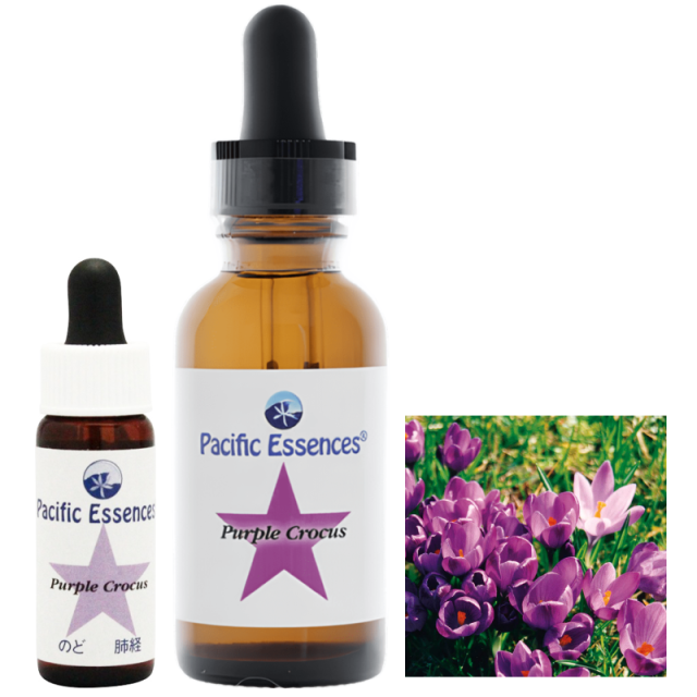 パシフィックエッセンス・フラワーエッセンスキット3