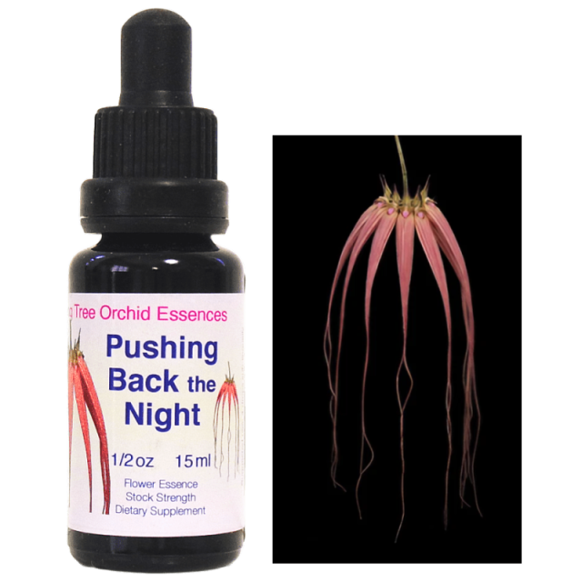 プッシングバックザナイト