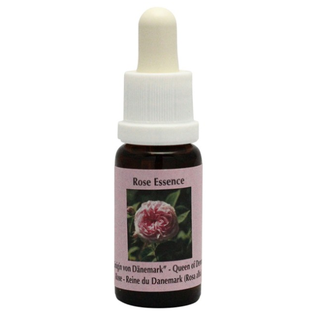 ピンクムラムラ オーストラリアンブッシュフラワー シングル 世界の