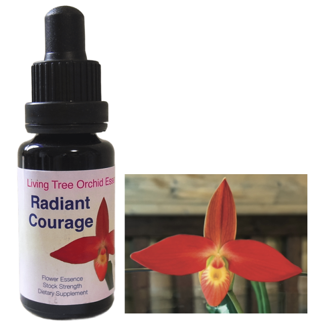 ラディアントカレッジ リビングトゥリーオーキッドエッセンス