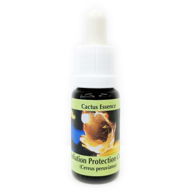 ラディエーションプロテクションカクタス