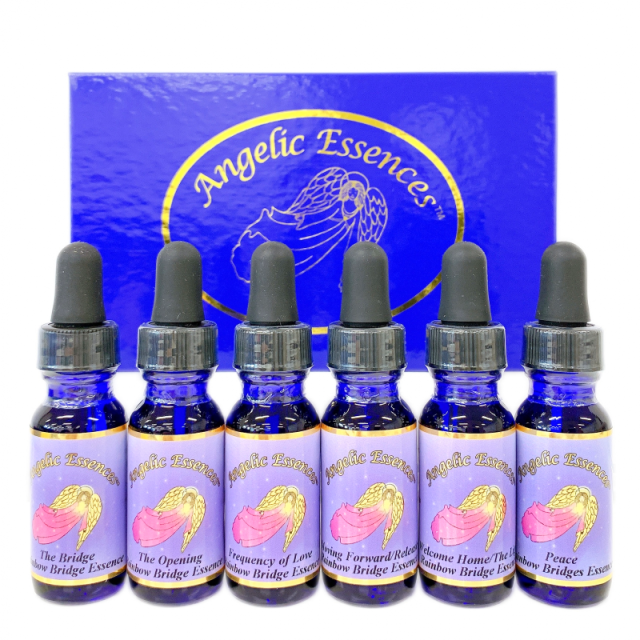 レインボウブリッジビトゥイーンザサード…キット