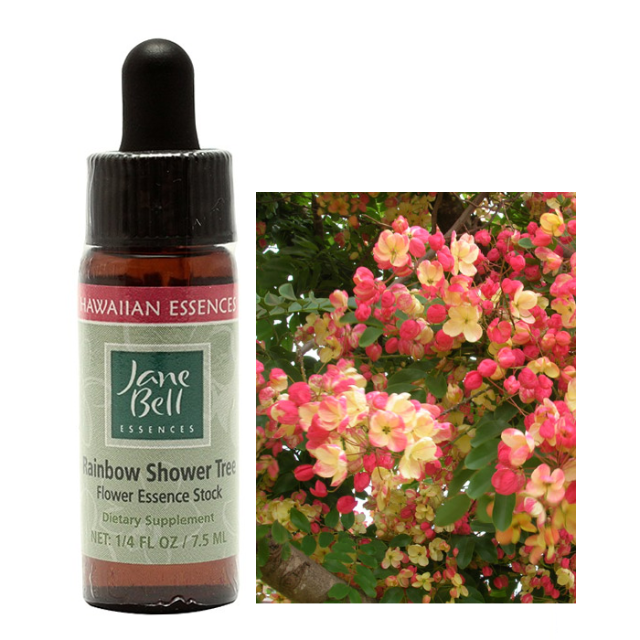 レインボーシャワーツリー