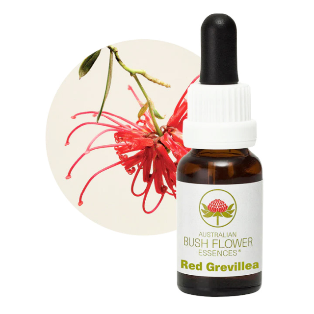 ガイミアリリー オーストラリアンブッシュフラワー シングル 世界の