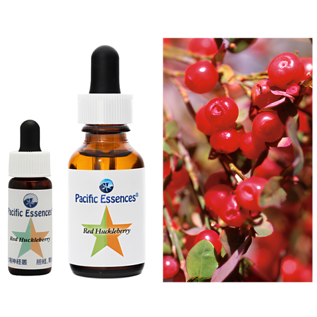 レッドハックルベリー