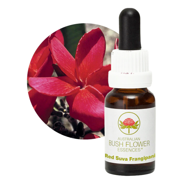 マウンテンデビル オーストラリアンブッシュフラワー シングル