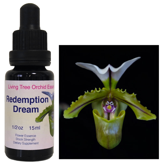 リデンプションドリーム