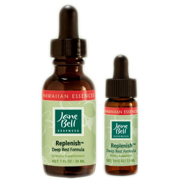 レプレニッシュ