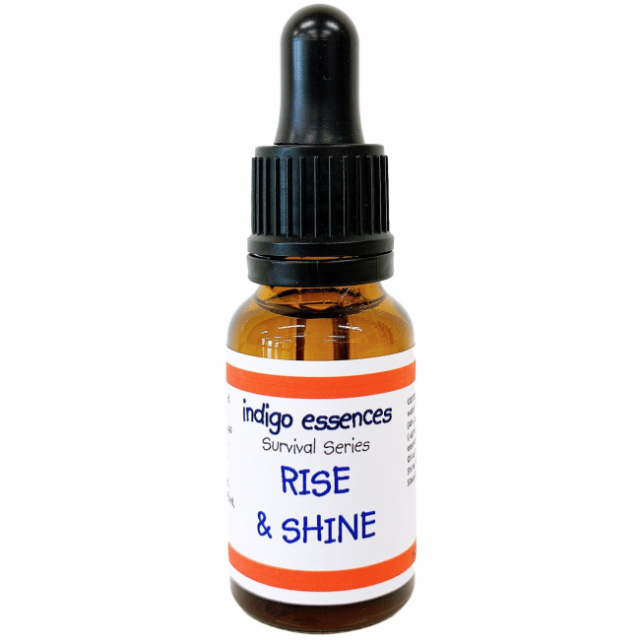 ライズアンドシャイン