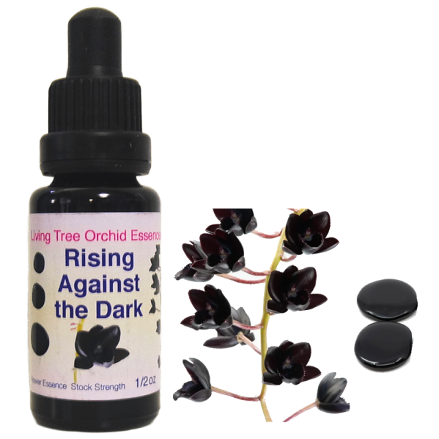 絶望から希望へ ナイトソウル リビングトゥリーオーキッドエッセンス