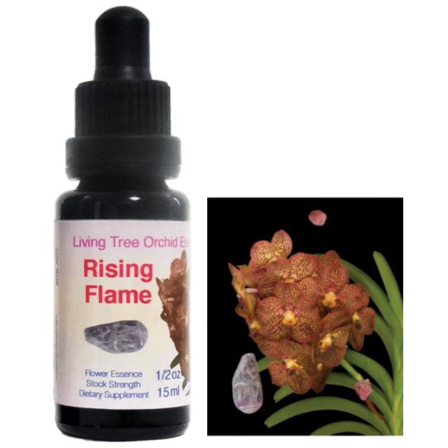 ライジングフレイム