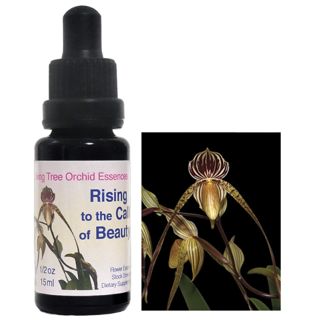 ライジングトゥザコールオブビューティー